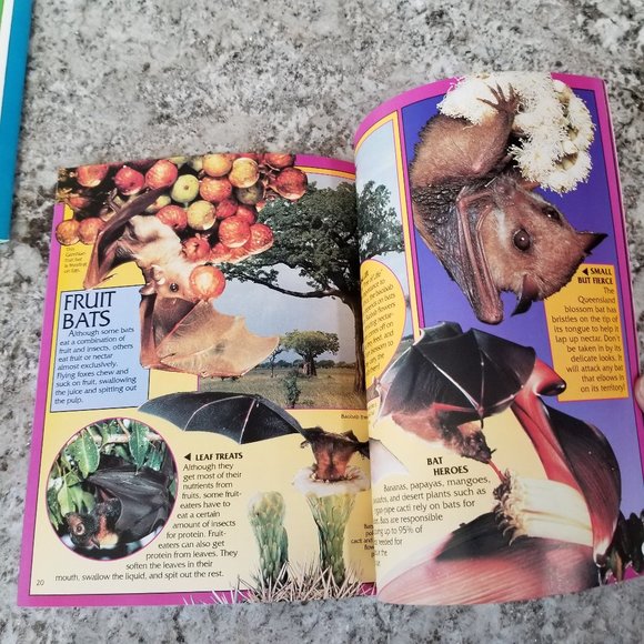 3 Children's Books Paperback about animals - Picture 4 of 4
